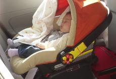 Baby Seats and Baby Capsules for Campervans in Australia - MyDriveHoliday
